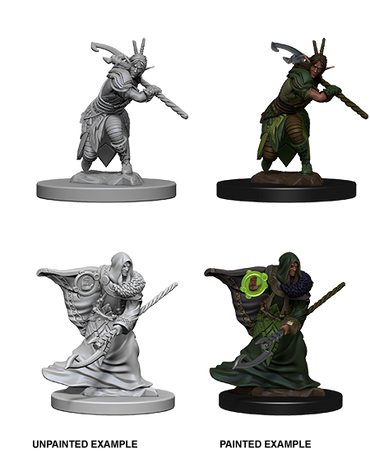 D&D-Nolzur's Marvelous Miniatures - Eld druid M