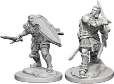 D&D-Nolzur's Marvelous Miniatures - Human Paladin M