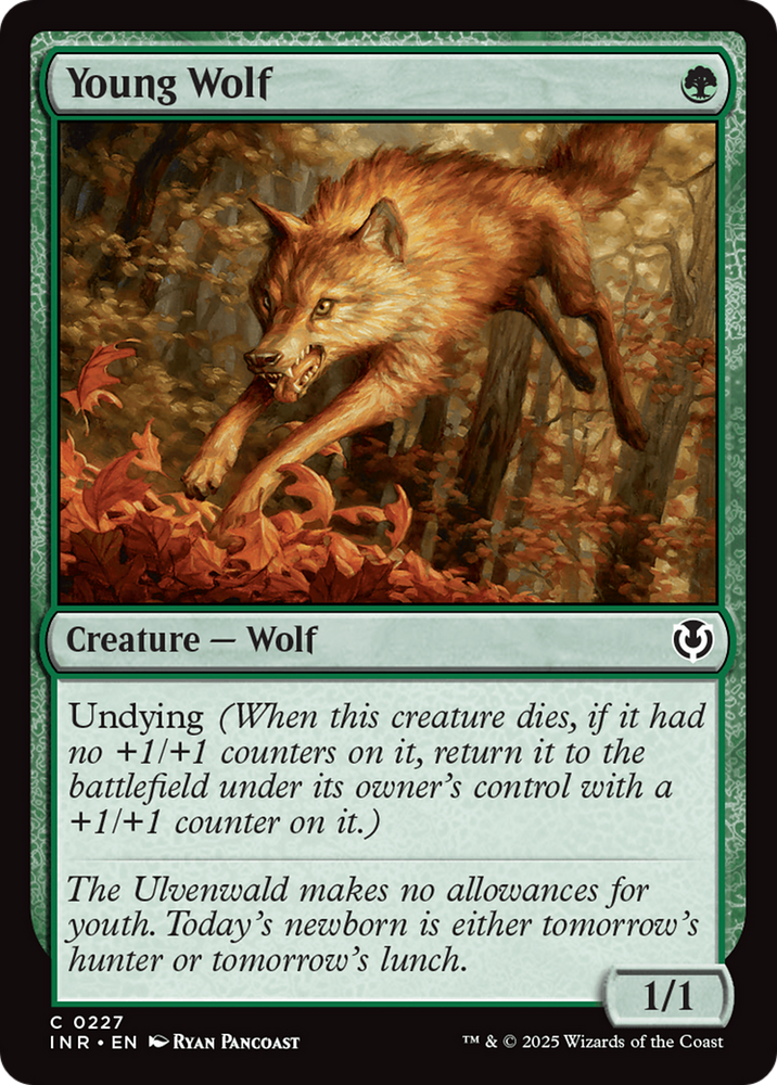 Young Wolf [Innistrad Remastered]