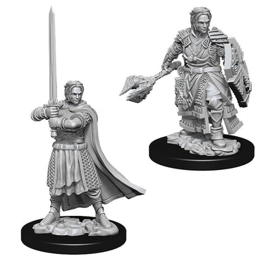 D&D Nolzur's Marvelous Miniatures - Male Human Cleric
