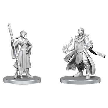 Critical Role - Beauregard Lionett & Caleb Widogast - Premium Miniature