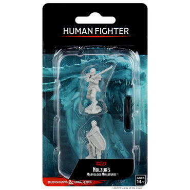 Nolzur's Marvelous Miniatures - Human Fighter