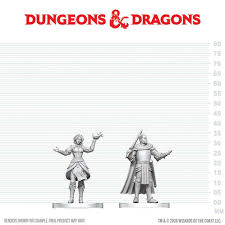 Nolzur's Marvelous Miniatures - Knight & Mage Apprentice