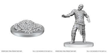 D&D - Minis - Nolzur's Marvelous Miniatures -Swarm of Rot Grubs & Rot Grub Victim