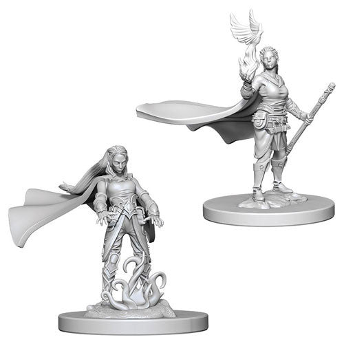 Nolzurs Marvelous Minitures - Elf Druid