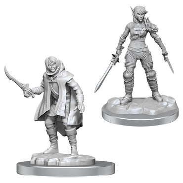 D&D - Minis - Nolzur's Marvelous Miniatures - Elf Rogue & Half-Elf Rogue Protege