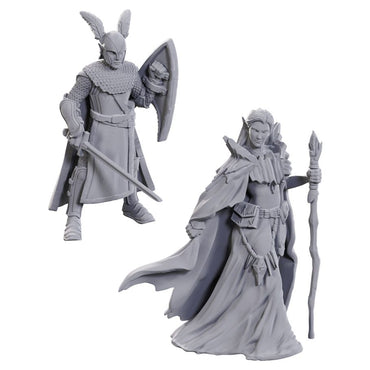 D&D - Nolzur's Marvelous Miniatures - 50th Anniversary - Elves