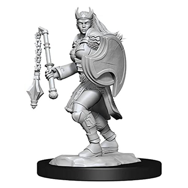 D&D - Nolzur's Marvelous Miniatures - Kalashtar Cleric