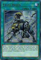 Cross Breed [CYHO-EN066] Rare
