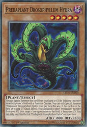Predaplant Drosophyllum Hydra [LED5-EN050] Common