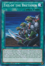 Ties of the Brethren [SR10-EN030] Common