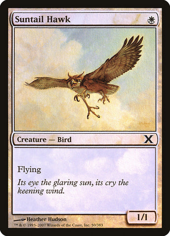 Suntail Hawk (Premium Foil) [Tenth Edition]