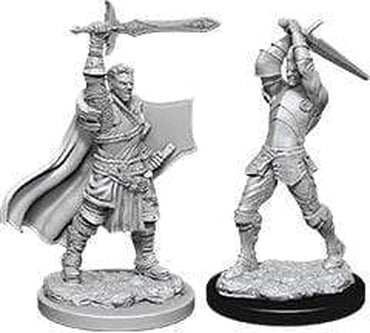 D&D - Nolzur's Marvelous Miniatures - Human Paladin (M)