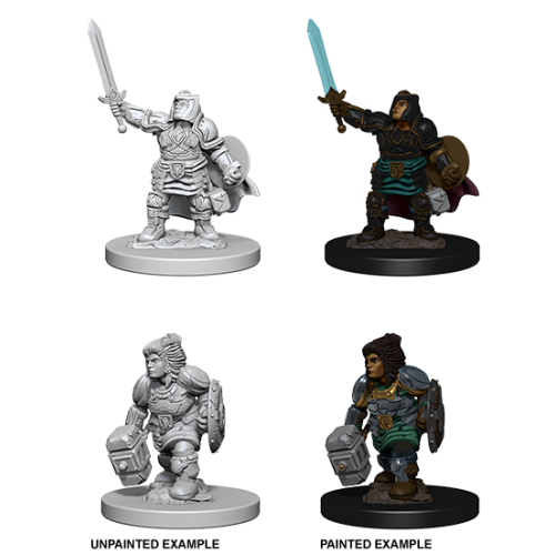 D&D - Nolzur's Marvelous Miniatures - Dwarf Paladin (F)