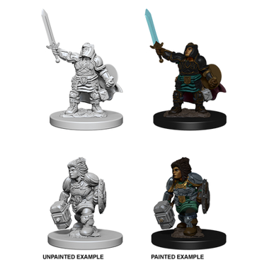 D&D - Nolzur's Marvelous Miniatures - Dwarf Paladin (F)