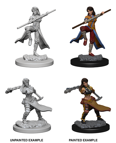 D&D - Minis - Nolzur's Marvelous Miniatures - Human Monk