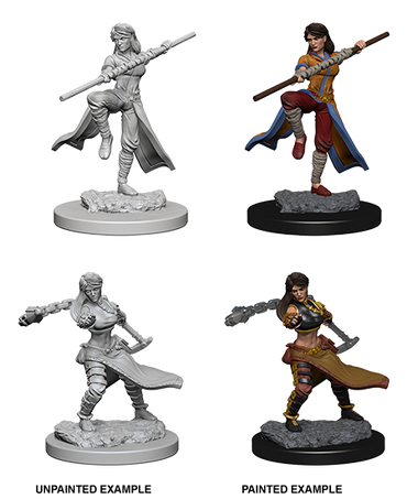 D&D - Minis - Nolzur's Marvelous Miniatures - Human Monk