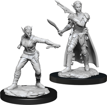 D&D - Minis - Nolzur's Marvelous Miniatures - Shifter Rogue