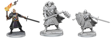 D&D - Frameworks Mini - Male Human Fighter