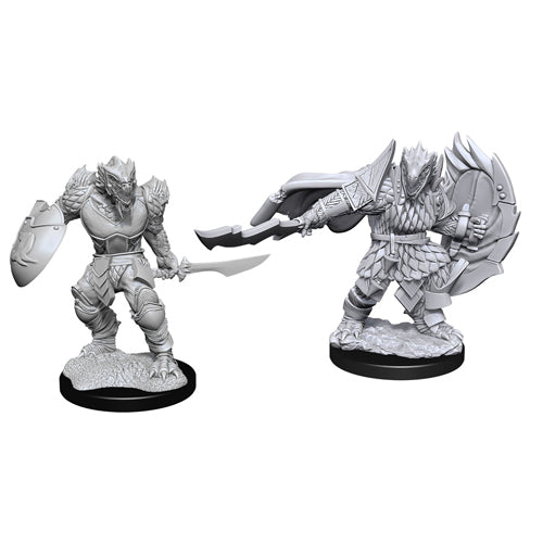 D&D - Nolzur's Marvelous Miniatures - Dragonborn Fighter (15)