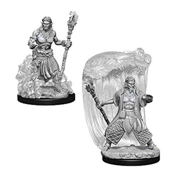 D&D - Minis - Nolzur's Marvelous Miniatures - Water Genasi Male Druid