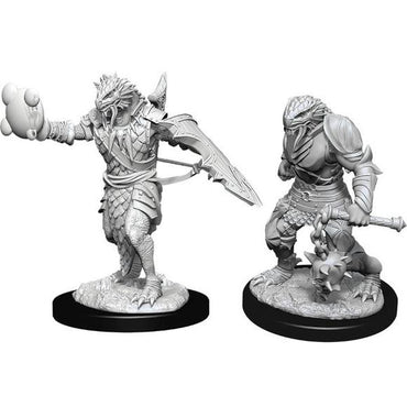 D&D - Minis - Nolzur's Marvelous Miniatures - Male Dragonborn Paladin (11)