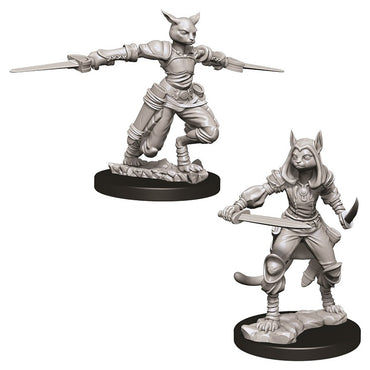 D&D - Minis - Nolzur's Marvelous Miniatures - Tabaxi Rogue