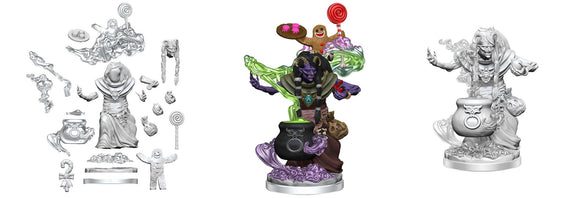 D&D - Frameworks Mini - Night Hag