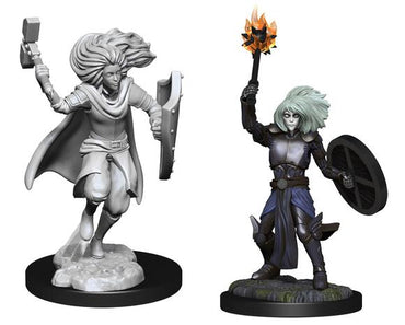 D&D - Nolzur's Marvelous Miniatures - Changeling Cleric