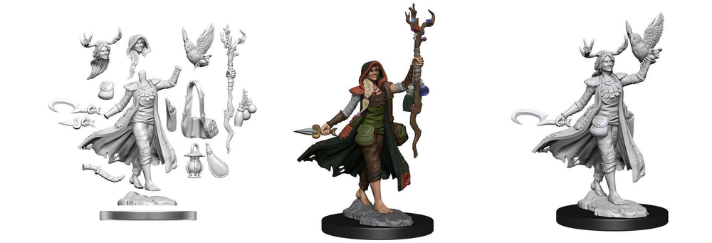 D&D - Frameworks Mini - Female Human Druid