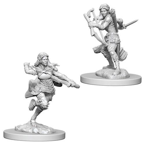 D&D - Minis - Nolzur's Marvelous Miniatures -Air Genasi Rogue