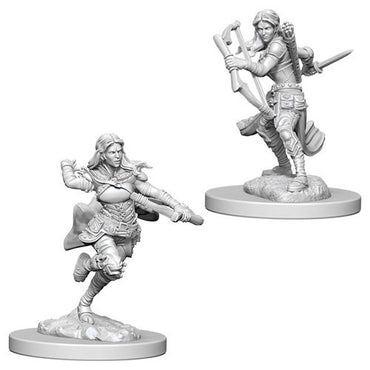 D&D - Nolzur's Marvelous Miniatures - Air Genasi