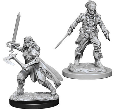 D&D - Minis - Nolzur's Marvelous Miniatures - Vampire Hunters