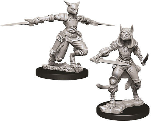 D&D - Nolzur's Marvelous Miniatures - Tabaxi Rogue