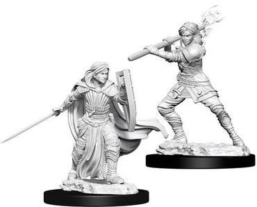 D&D - Minis - Nolzur's Marvelous Miniatures - Human Female Paladin