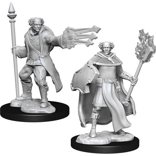 D&D - Nolzur's Marvelous Miniatures - Multiclass Cleric + Wizard