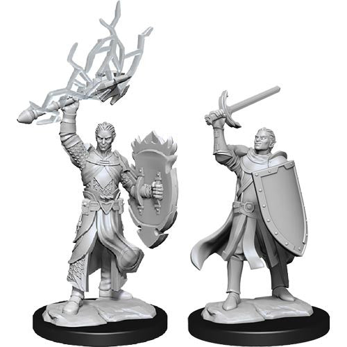 D&D - Nolzur's Marvelous Miniatures - Half Elf Paladin (M)