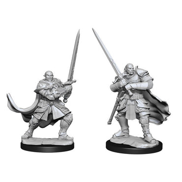 D&D - Nolzur's Marvelous Miniatures - Half Orc Paladin